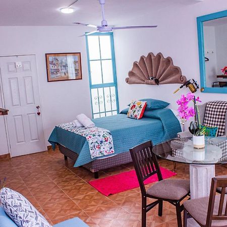 Casa Cardennal San Miguel de Allende Ngoại thất bức ảnh